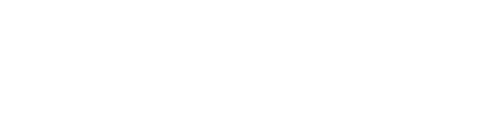 LiONS LAIR logo in white